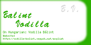 balint vodilla business card